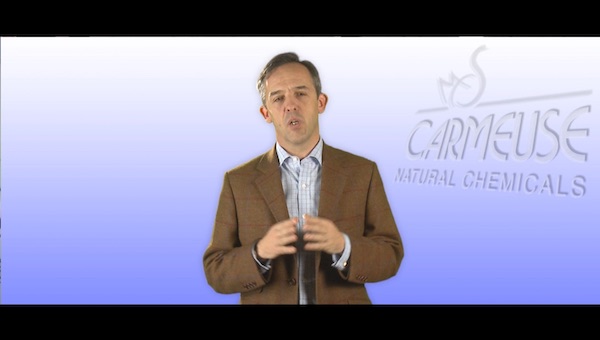 Réalisation
